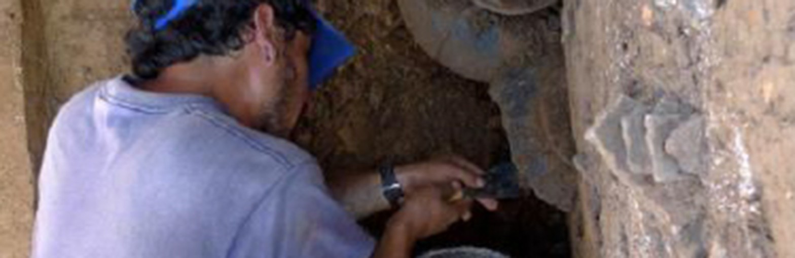 100 years of exploration in the Llanos de&nbsp;Moxos