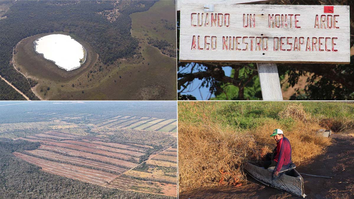 Chiquitania: Paradise at&nbsp;Risk