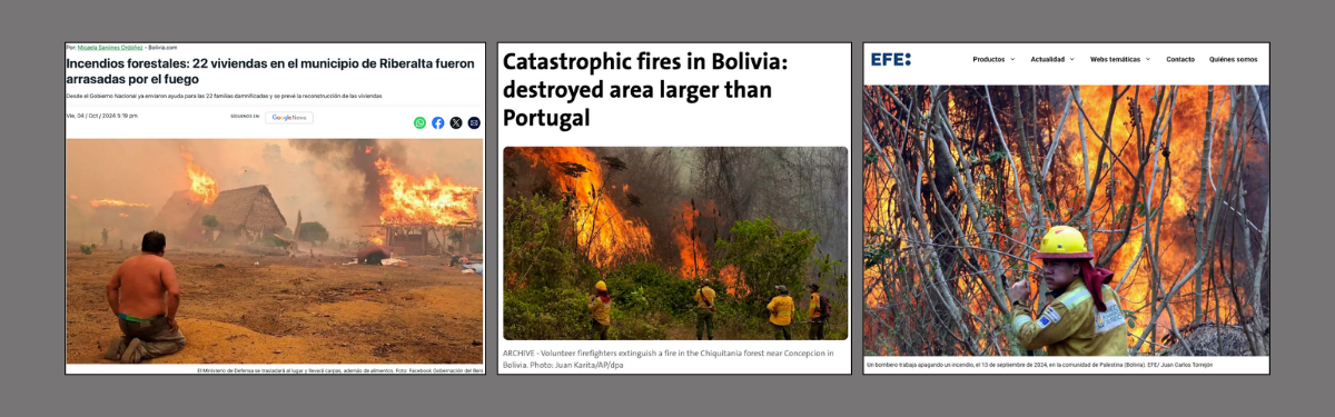 Help Local Organisations Combat Bolivia’s Forest Fire&nbsp;Crisis