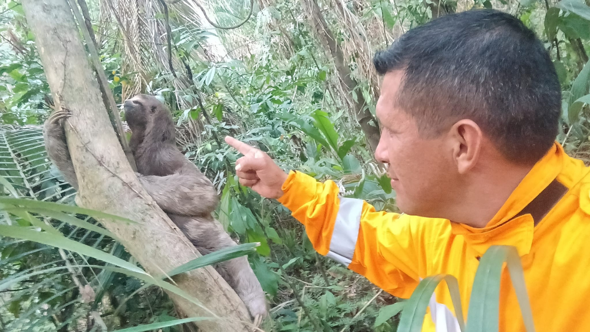 A Bolivian Ranger&nbsp;Testimony