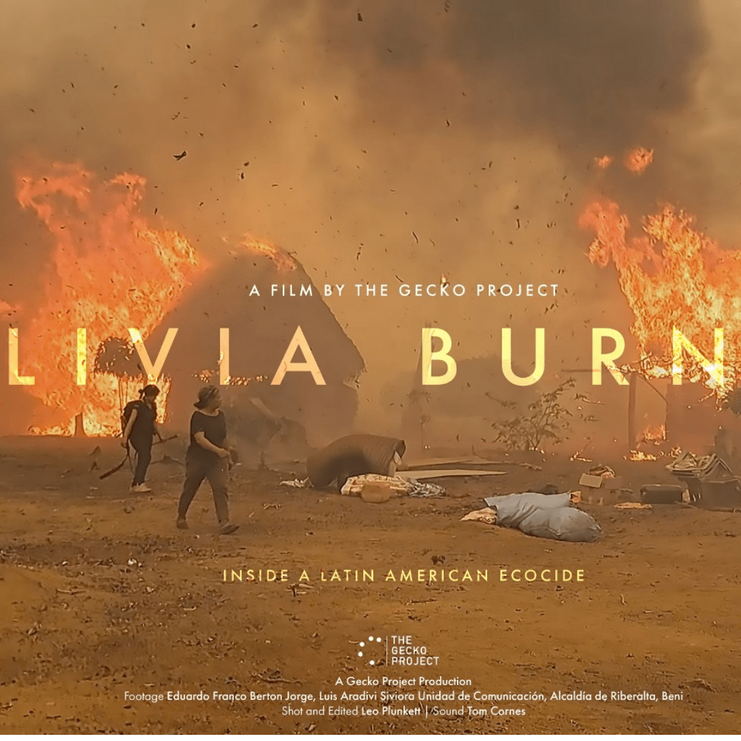 Bolivia Burning: Inside a Latin American&nbsp;Ecocide